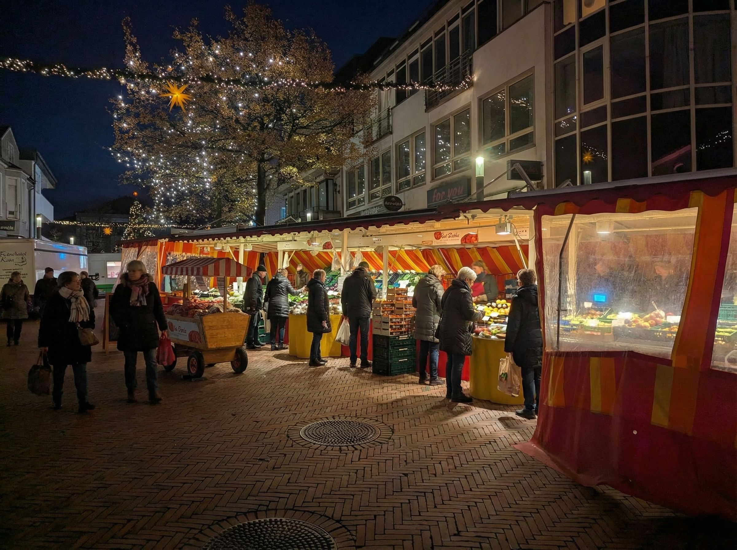 Obstanbau bei Sonnenaufgang